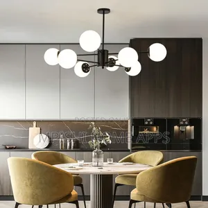 Glass Lampshade Ceiling Light Black