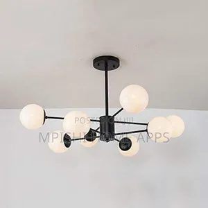 Glass Lampshade Ceiling Light Black
