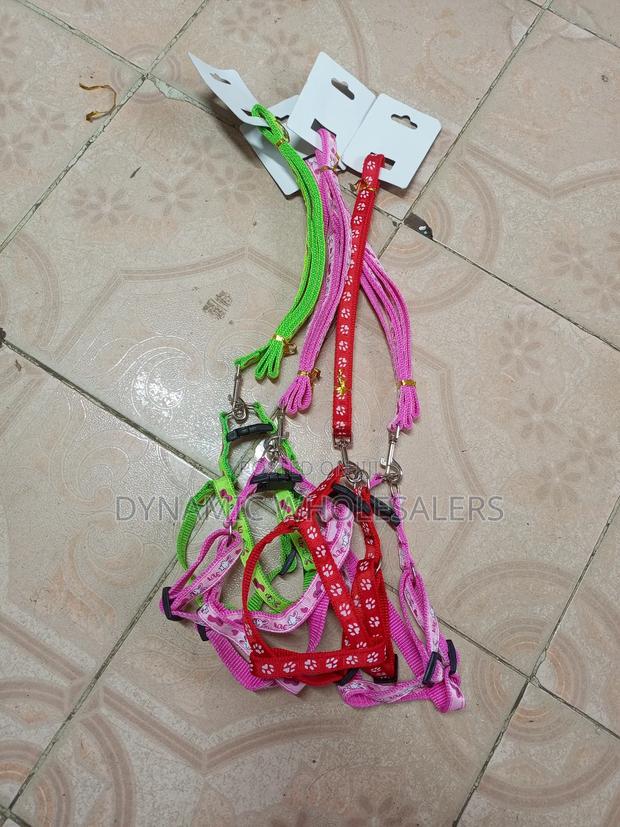 Dog Leash/Dog Rope - main view