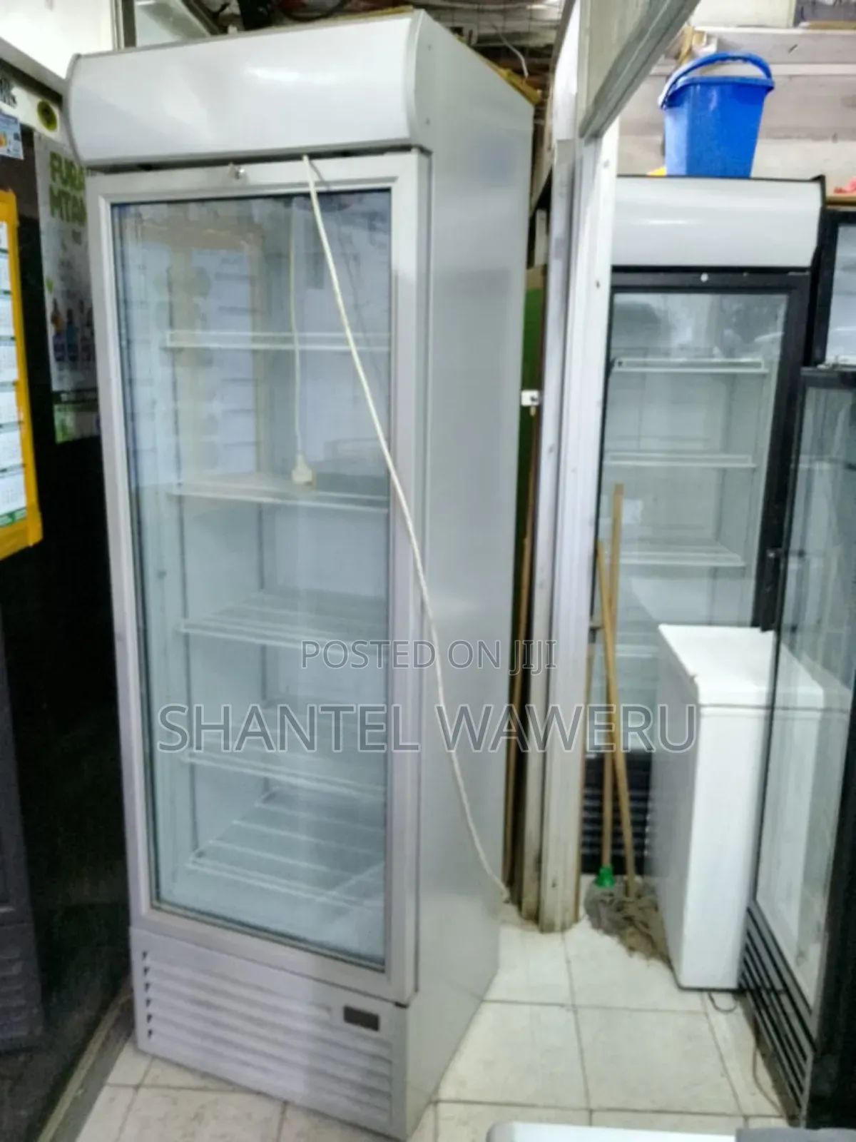 401 Litres Grey Display Fridge