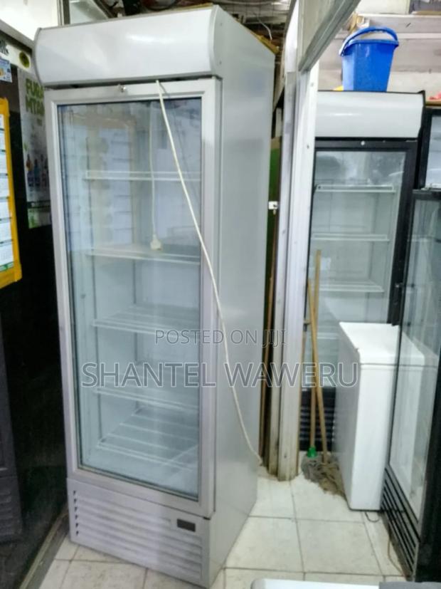 401 Litres Grey Display Fridge - main view