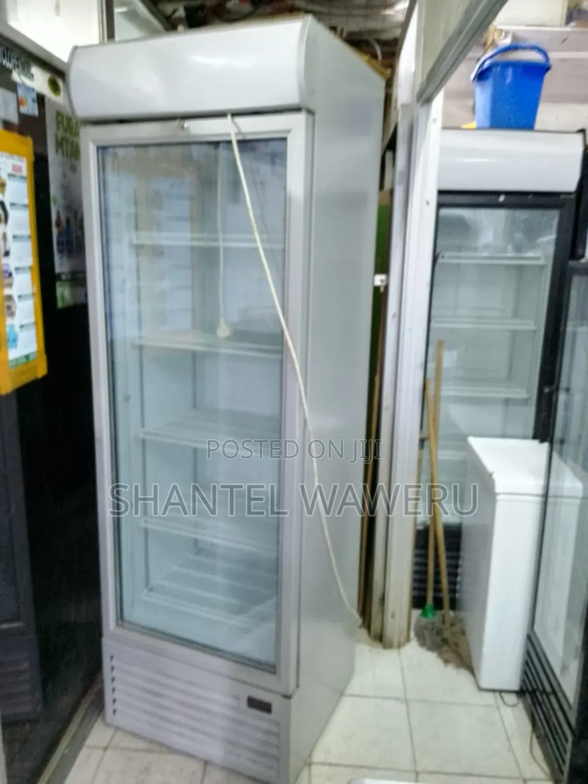 401 Litres Grey Display Fridge