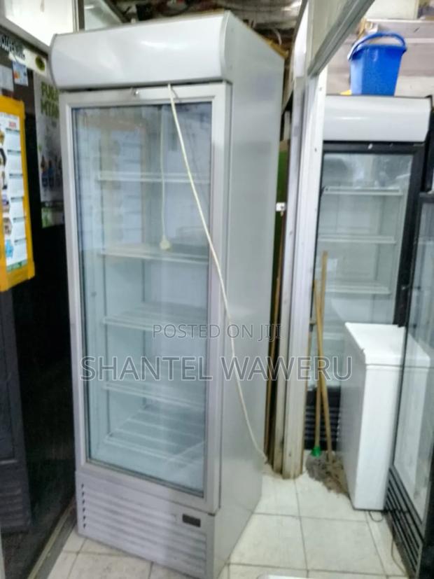 401 Litres Grey Display Fridge - thumbnail 2