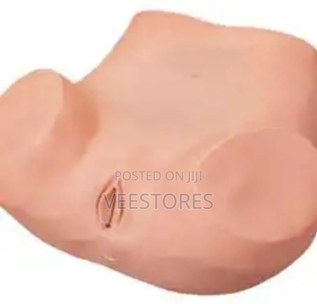 Advanced Gynecological Examination Model
