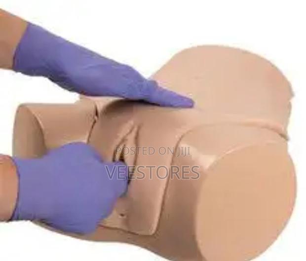 Advanced Gynecological Examination Model - thumbnail 2