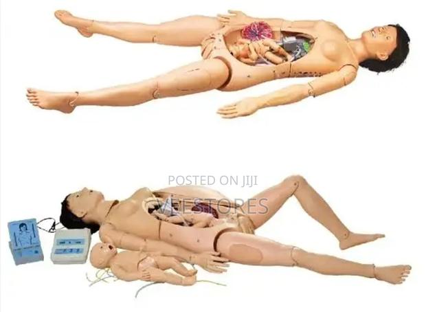 Advanced Childbirth and Emergency Training Model - main view