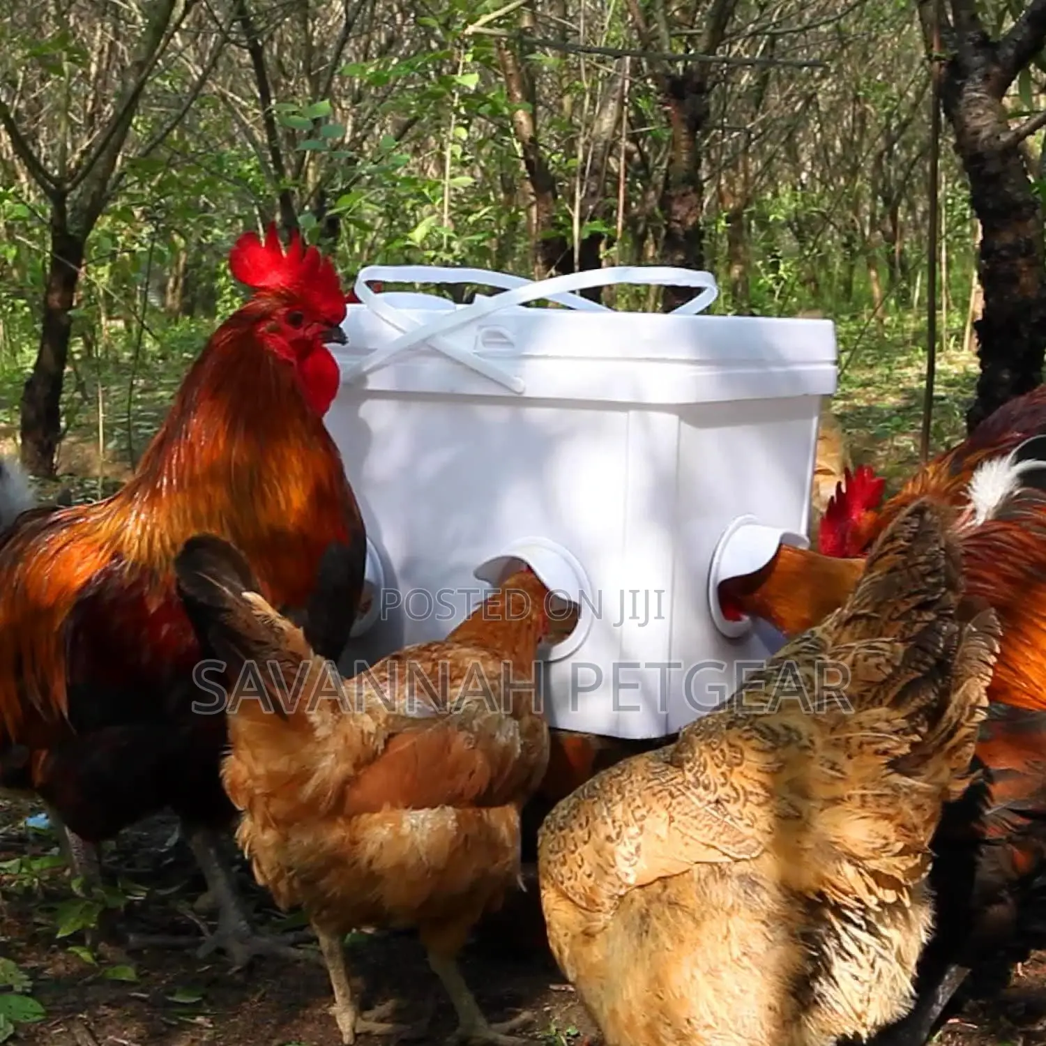 Automatic Chicken Feeders Poultry Feeder Ports Kit - 4pcs