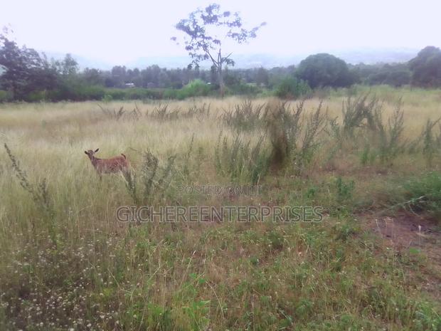 Makuyu Mananja - thumbnail 4