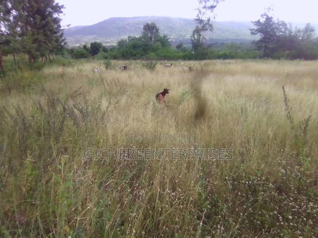 Makuyu Mananja - thumbnail 5