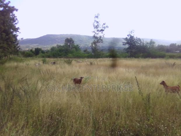 Makuyu Mananja - thumbnail 7