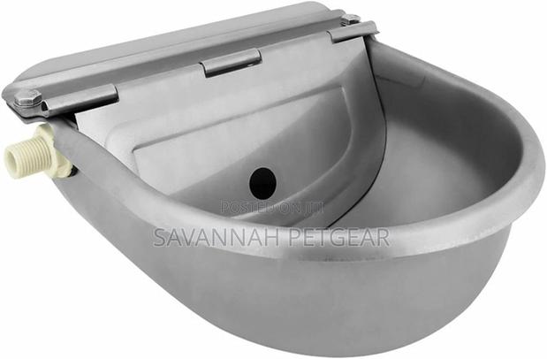 Stainless Water Trough Bowl Automatic Drinking for Cows, Dog