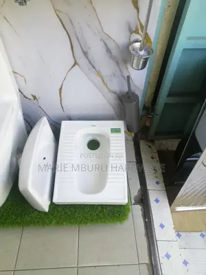 Sawa Step Asian Toilet Available