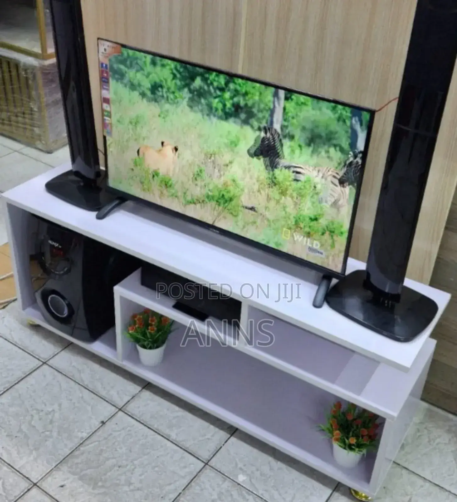 Mexico 55" Modern Television Stand