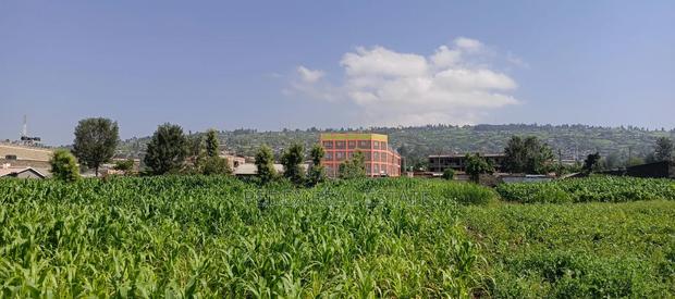 50/100 Plots for Sale at KITI(Behind Delta) Nakuru