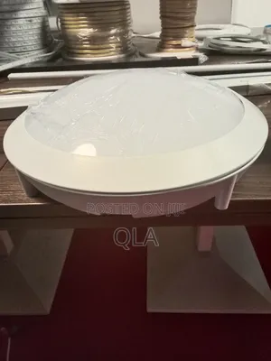 Ceiling Light