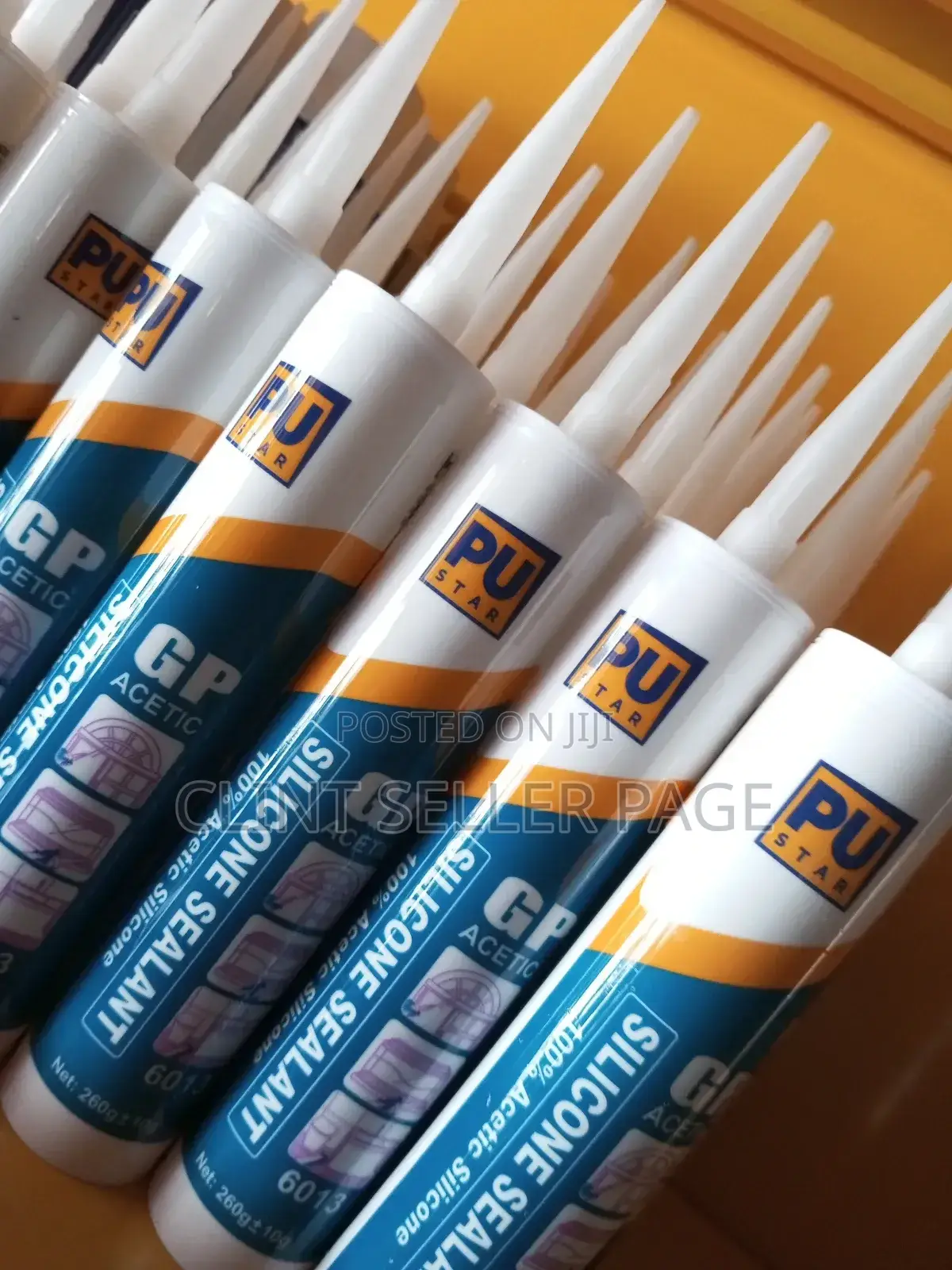 Silicone Sealant/ Flexi Seal
