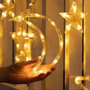 Moon and Star Fairy Lights