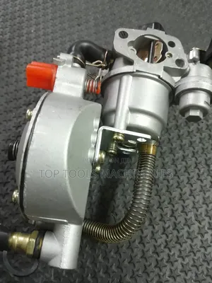Petrol and Gas LPG Carburator Dual