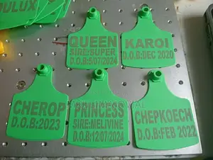 Green Medium Cow Ear Tags Customized