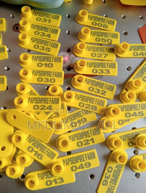 Name and Number Customized Ear Tags