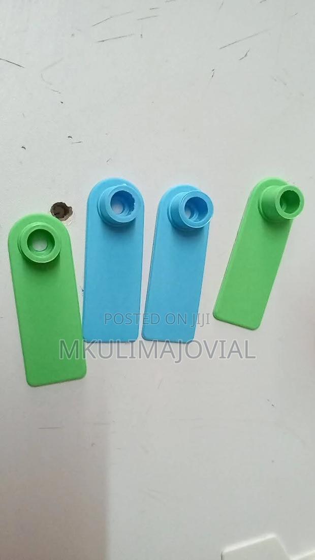 Plain Slim Ear Tags Ear Tags for Sheep/Goat /Pigs