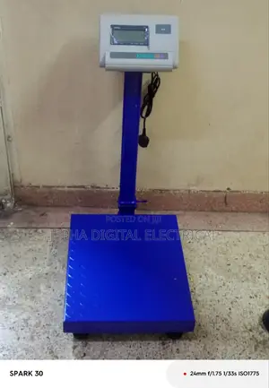 A12 300kgs Platform Scale