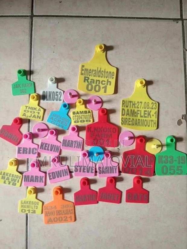All Size/Colors Custom Ear Tags