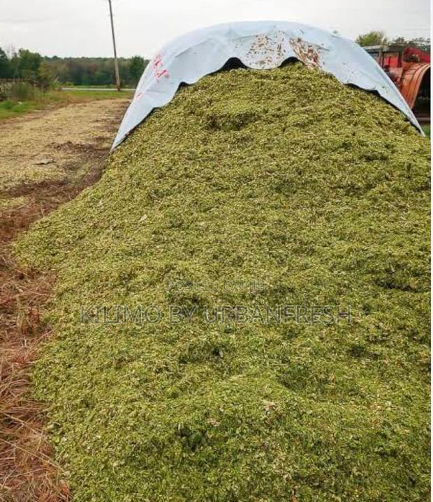 Chopped Silage Without Corn Baled or Loose 10t.