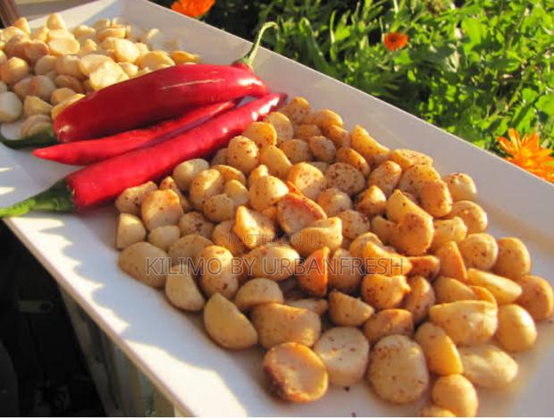 Macadamia Roasted Nuts For Consumption 500g - main view