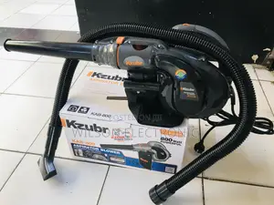 Professional Aspirator Electric Blower + Sucker