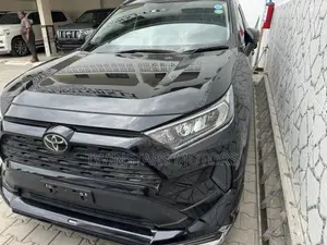 Toyota RAV4 XLE Premium AWD 2019 Gray
