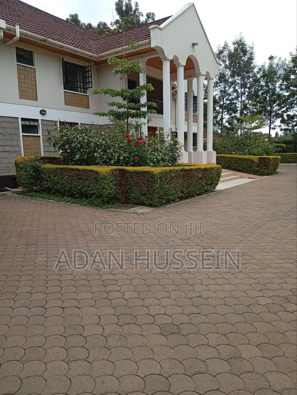 Lawn Care and Hedge Trimming Services