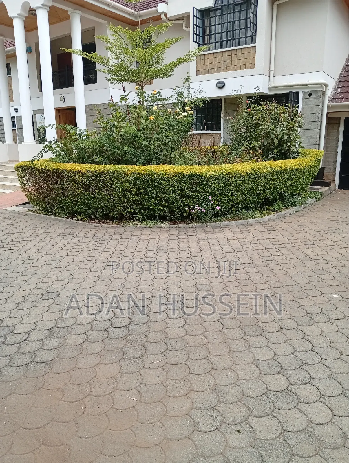 Lawn Care and Hedge Trimming Services