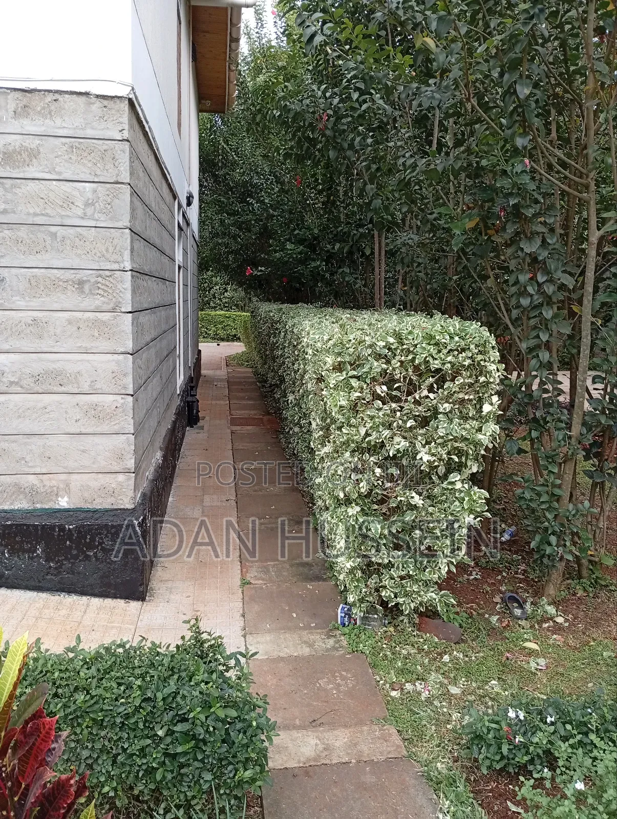 Lawn Care and Hedge Trimming Services