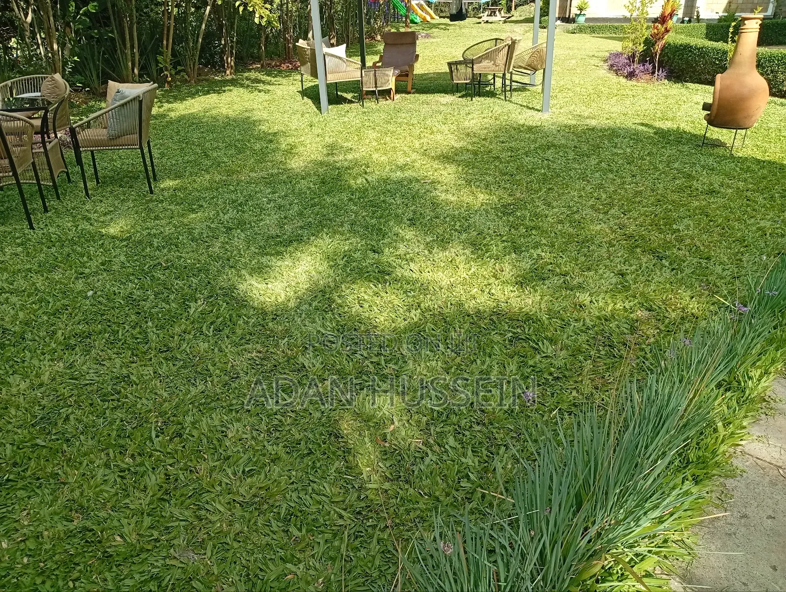 Lawn Care and Hedge Trimming Services