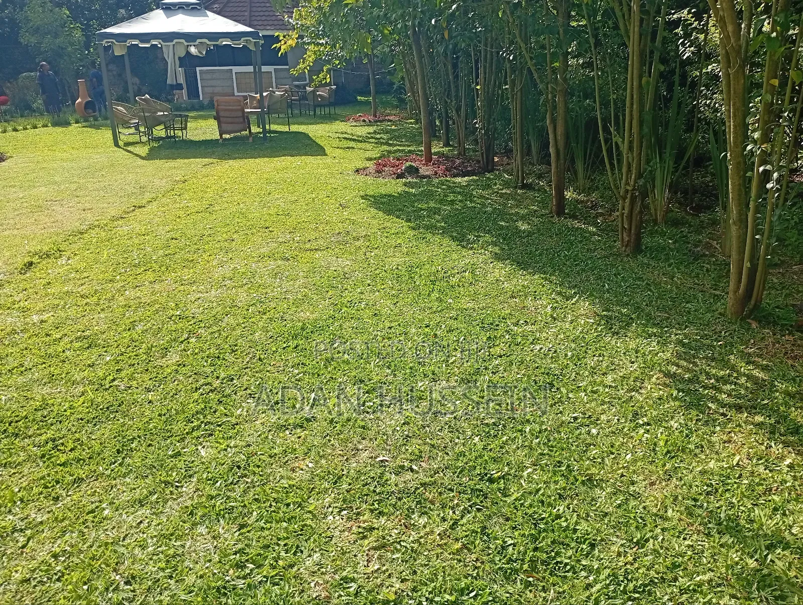 Lawn Care and Hedge Trimming Services