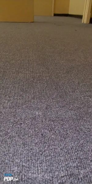 Ash Grey Wall to Wall Office Carpets