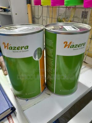 Neptune F1 Onions 1kg - thumbnail 2