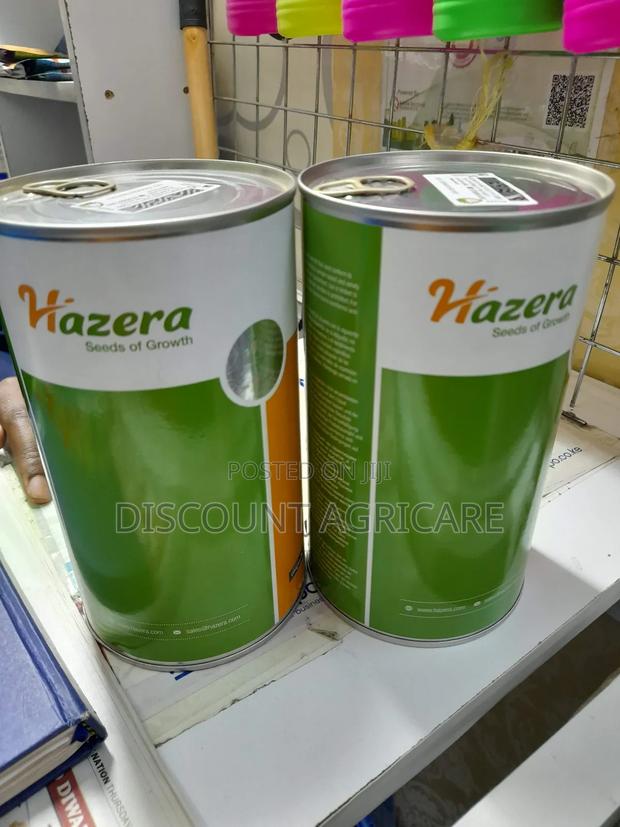 Neptune F1 Onions 1kg - main view