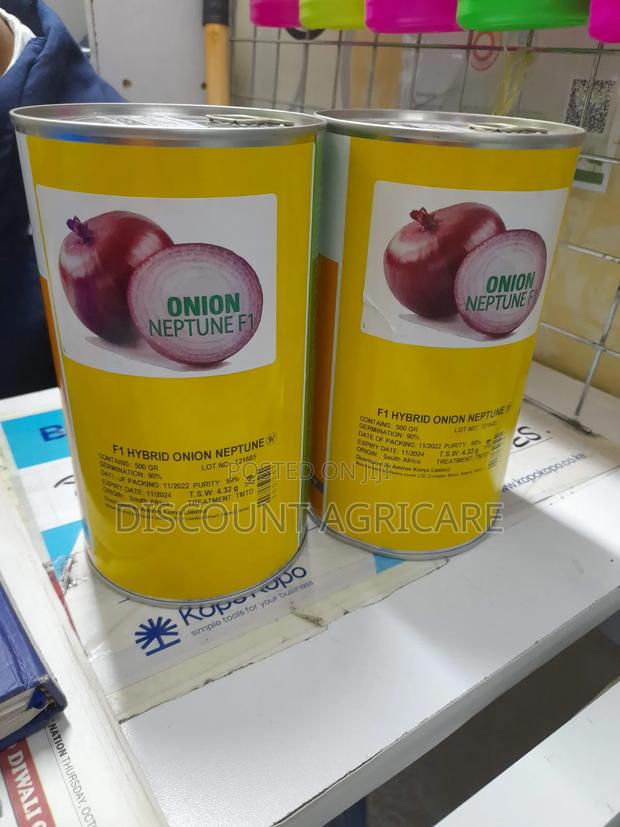 Neptune F1 Onions 1kg - thumbnail 3