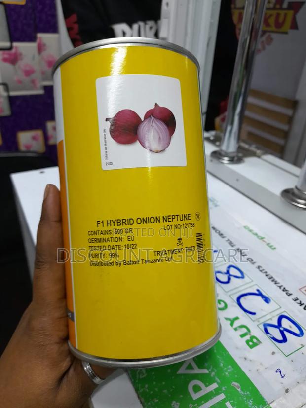 Neptune F1 Onions 1kg - thumbnail 4
