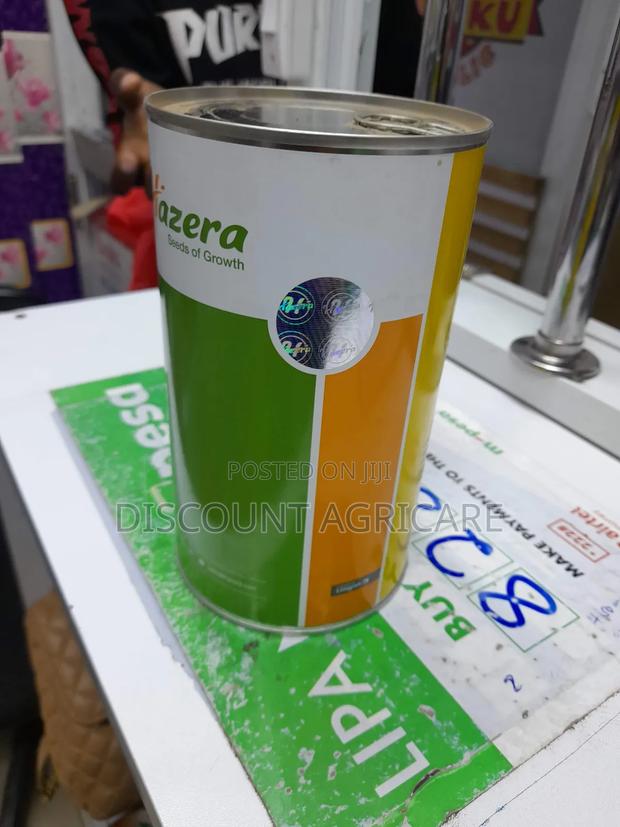 Neptune F1 Onions 1kg - thumbnail 5