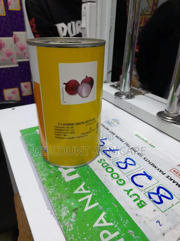 Neptune F1 Onions 1kg - thumbnail 6