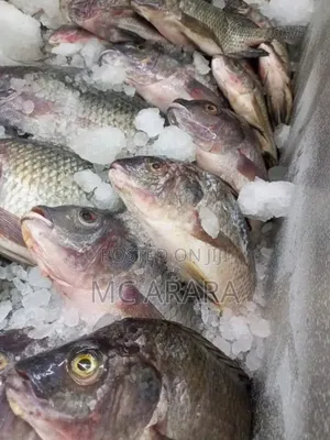 Chosen Fish Suppliers