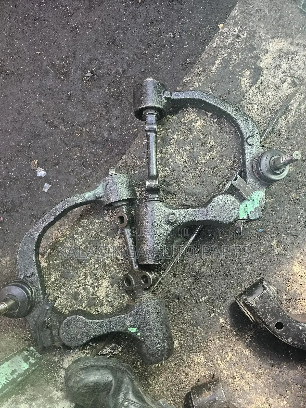 Upper Arms Nv350