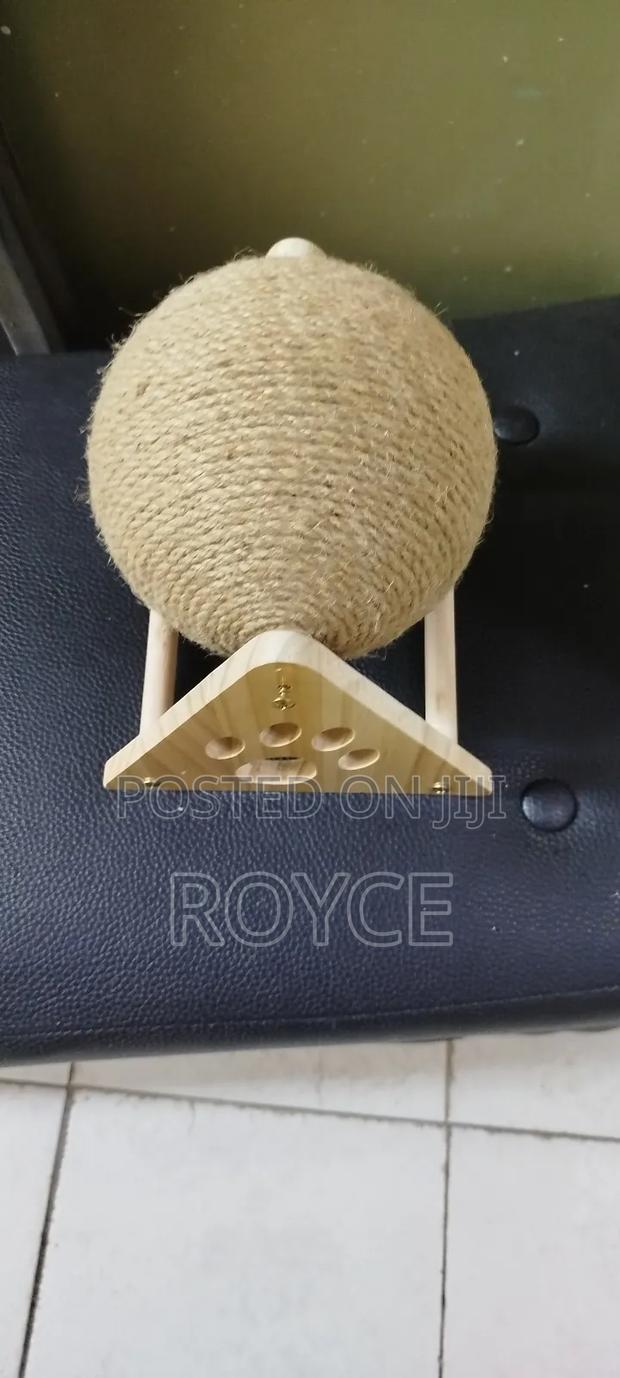Pet Scratcher Ball Toy