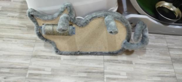 Cat Scratcher Toy - thumbnail 4