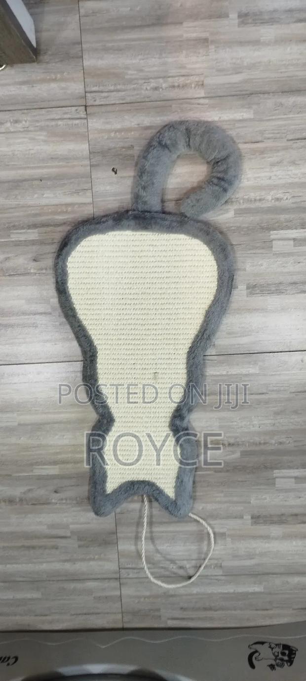 Hanging Cat Scratcher Toy - main view