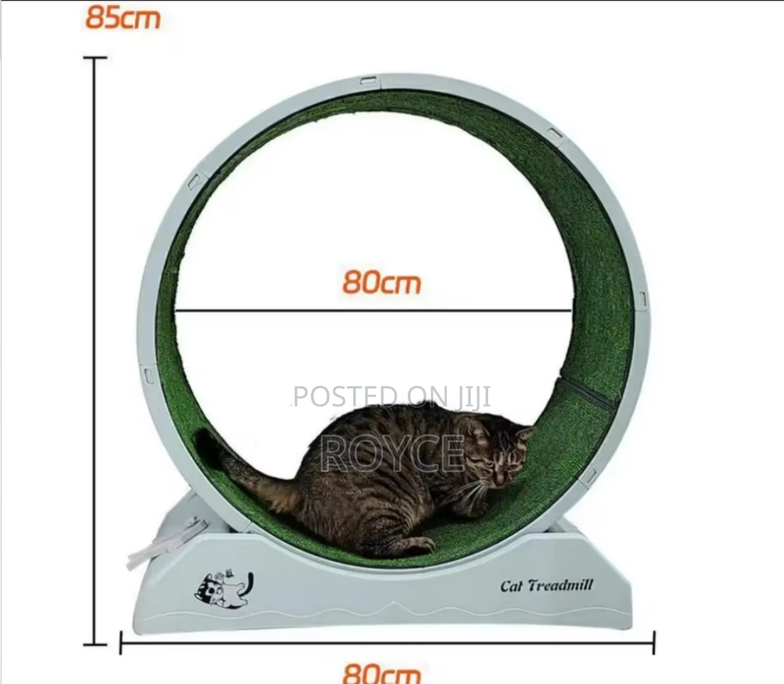 Cat Treadmill Toy