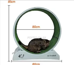 Cat Treadmill Toy
